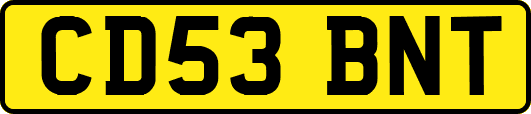 CD53BNT