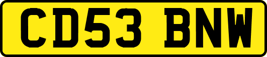 CD53BNW