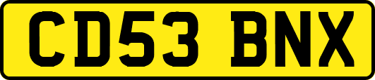 CD53BNX