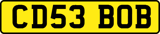 CD53BOB