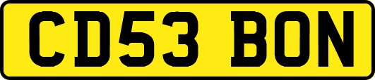 CD53BON