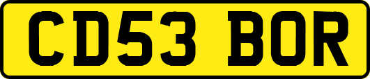 CD53BOR