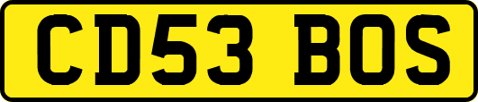 CD53BOS