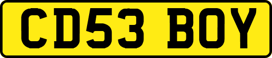 CD53BOY