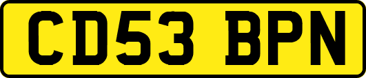 CD53BPN