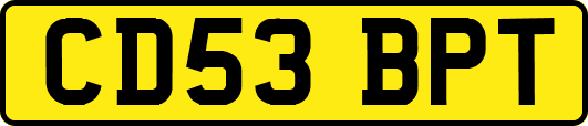 CD53BPT