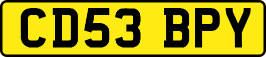CD53BPY