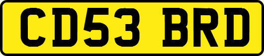 CD53BRD