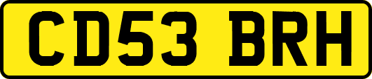 CD53BRH