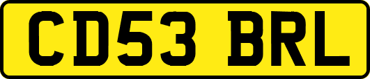 CD53BRL