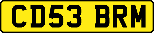 CD53BRM