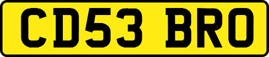 CD53BRO
