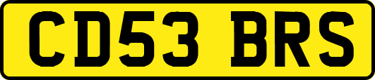 CD53BRS