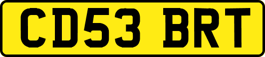 CD53BRT