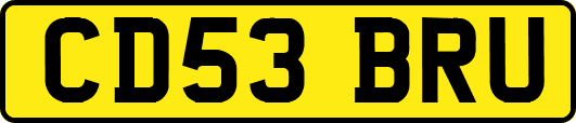 CD53BRU