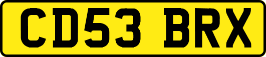 CD53BRX