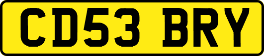 CD53BRY