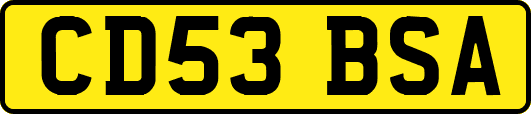 CD53BSA
