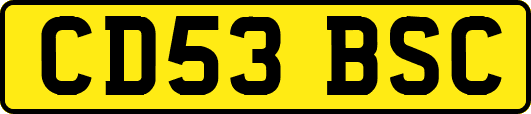 CD53BSC