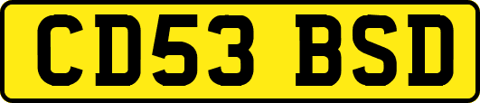CD53BSD