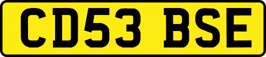 CD53BSE