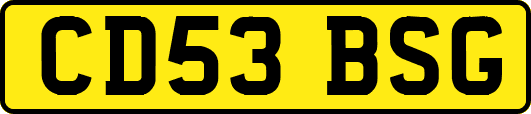 CD53BSG