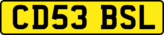 CD53BSL
