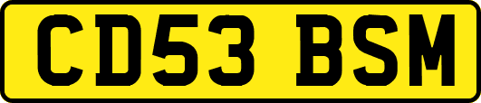 CD53BSM