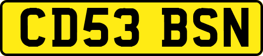 CD53BSN