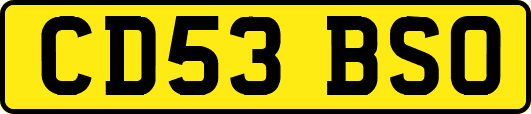 CD53BSO