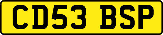 CD53BSP
