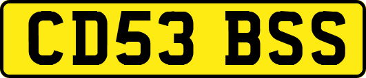 CD53BSS
