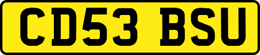 CD53BSU