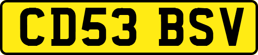 CD53BSV