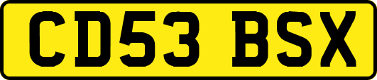 CD53BSX