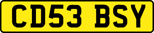 CD53BSY