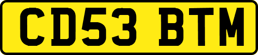 CD53BTM