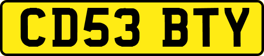 CD53BTY