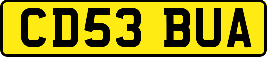 CD53BUA