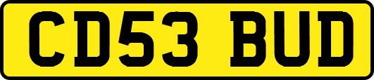 CD53BUD