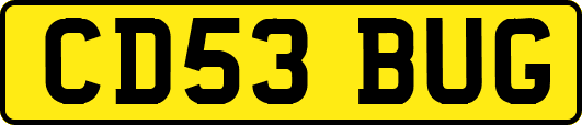 CD53BUG