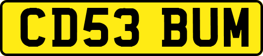 CD53BUM