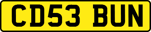 CD53BUN
