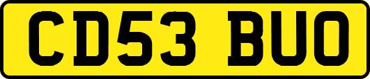 CD53BUO