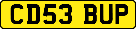 CD53BUP
