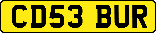 CD53BUR