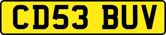 CD53BUV