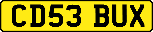 CD53BUX