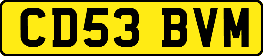 CD53BVM
