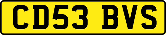 CD53BVS